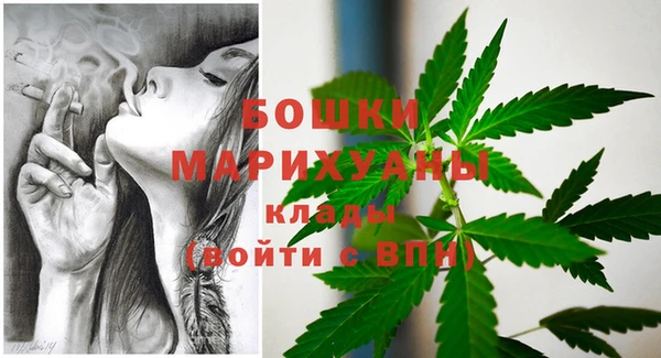 сатива Волосово