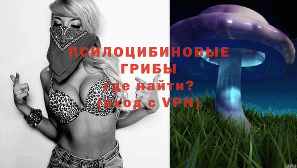 бошки Верея