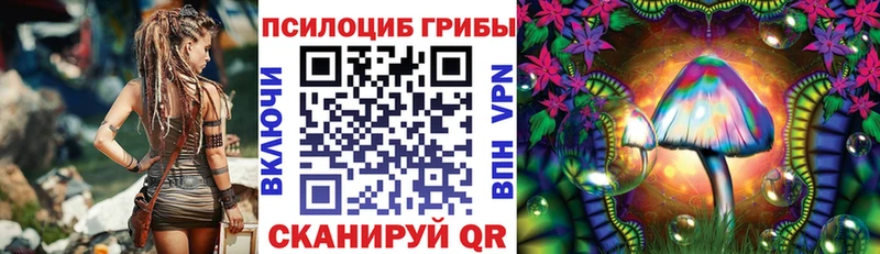 нарко площадка как зайти  hydra ССЫЛКА  Кингисепп  Псилоцибиновые грибы мухоморы 