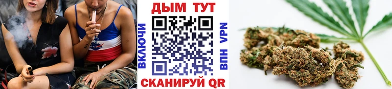 купить наркотики сайты Кингисепп Каннабис Ganja